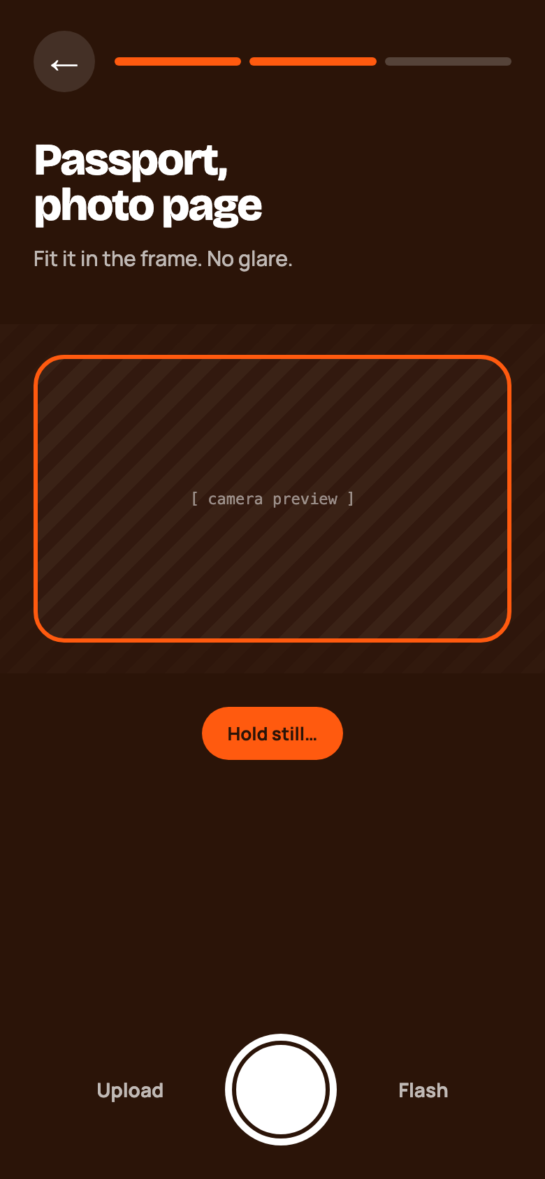 Camera screen with a frame for the passport photo page