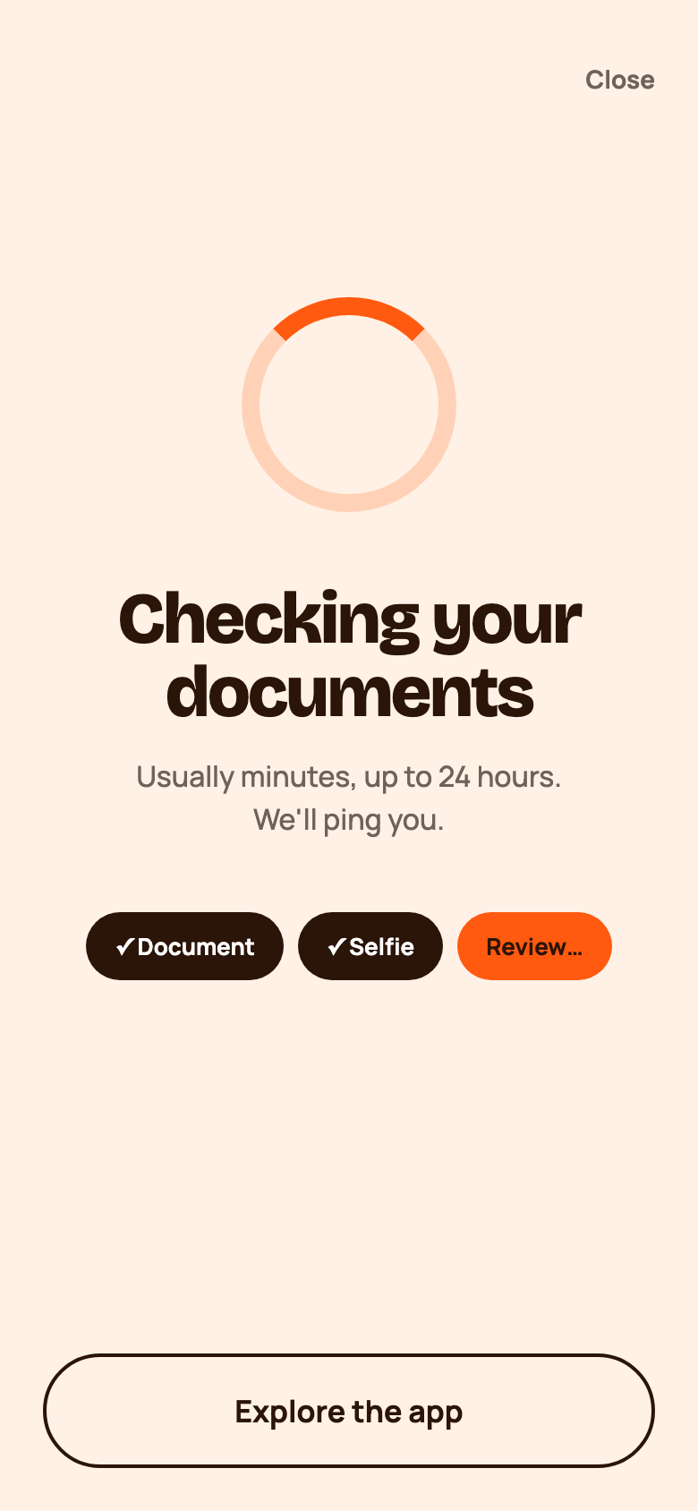 Status screen saying Checking your documents